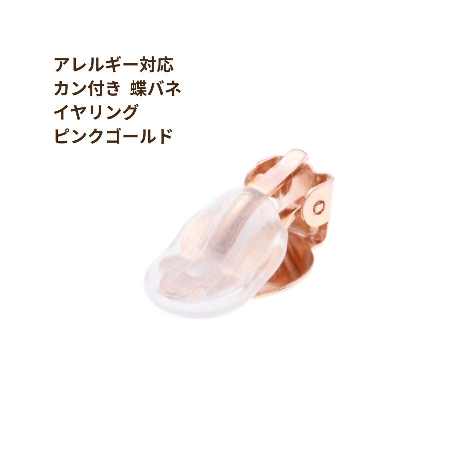 蝶バネイヤリング サージカルステンレス メルカリ便 22日まで 蝶バネ