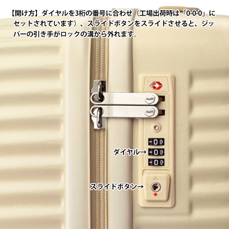10105748_tsa.jpg