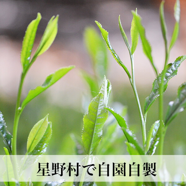 楽天市場】抹茶 20g缶 星野村 茶道 薄茶 粉末 抹茶粉末 Matcha