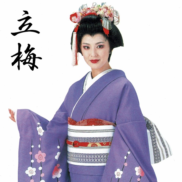 楽天市場】裾引き すそひき （h9077） 裾引 舞台 衣装 着物 きもの 日