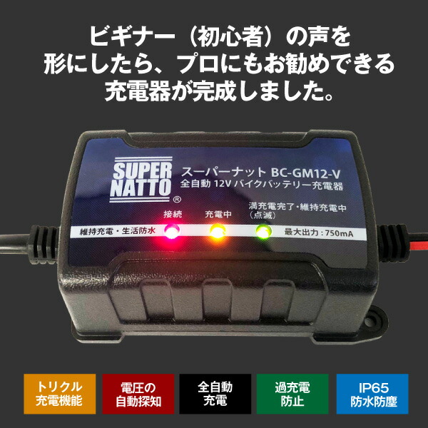 楽天市場】【スーパーSALE☆エントリーでP10倍】バイクバッテリー充電
