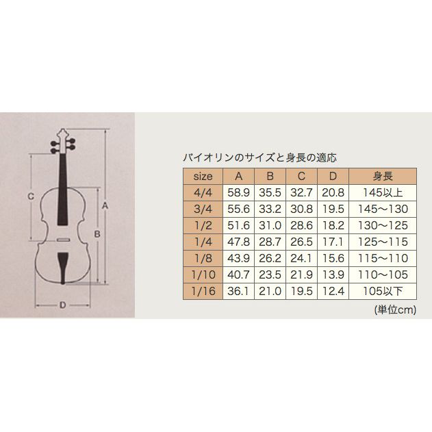 楽天市場】鈴木バイオリン ヴァイオリン No.310 115cm以上 4/4,3/4,1/2