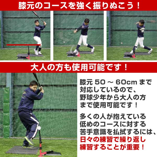 楽天市場】野球 練習 スウィングパートナー・ロー スイングパートナー