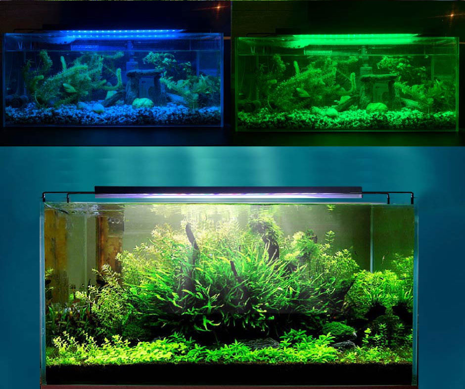 楽天市場】LED 水槽 アクアリウムライト 水槽ライト 60cm〜75cm 22W