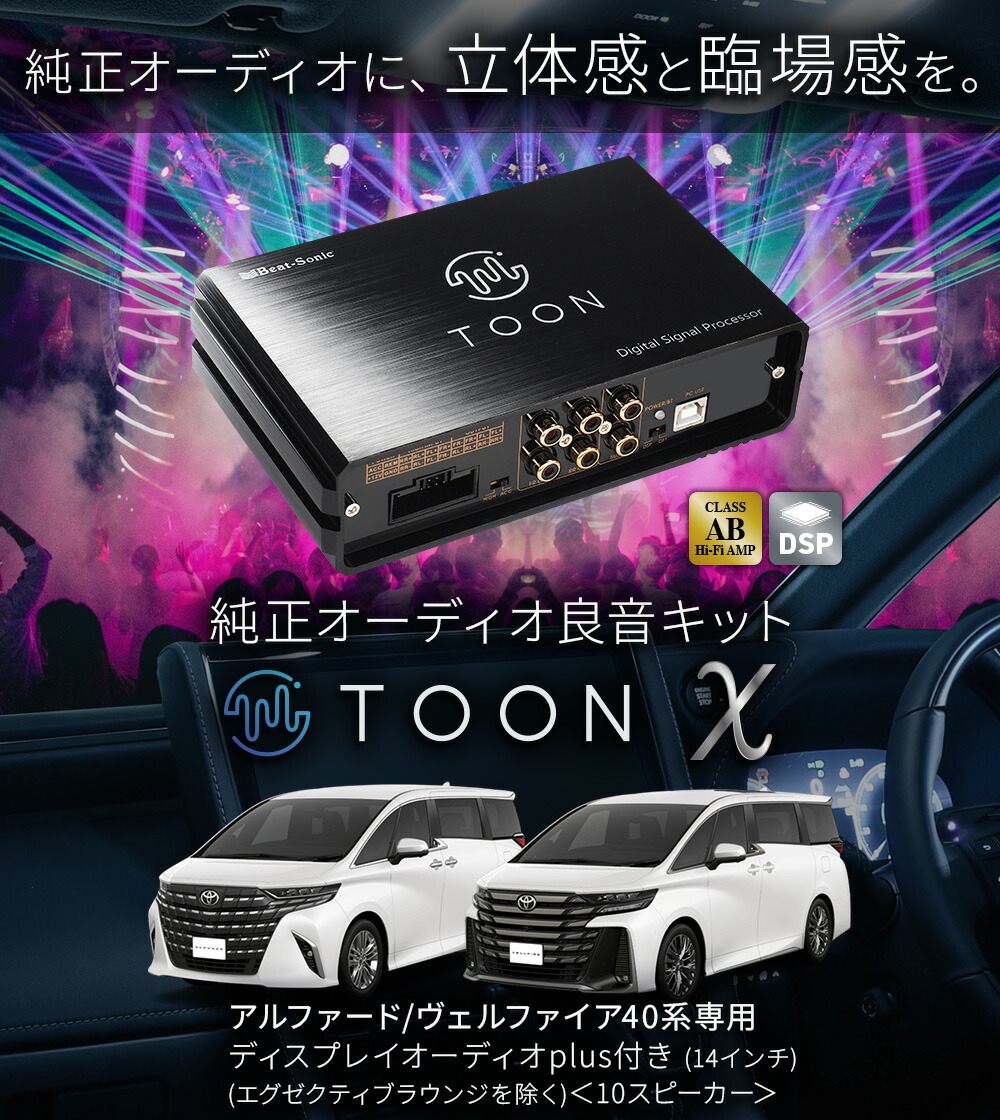 dsp-t316_2.jpg