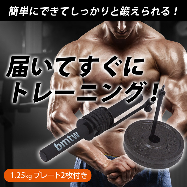 楽天市場】リストローラー4 ハンマートーンプレート1.25kg 2枚付き