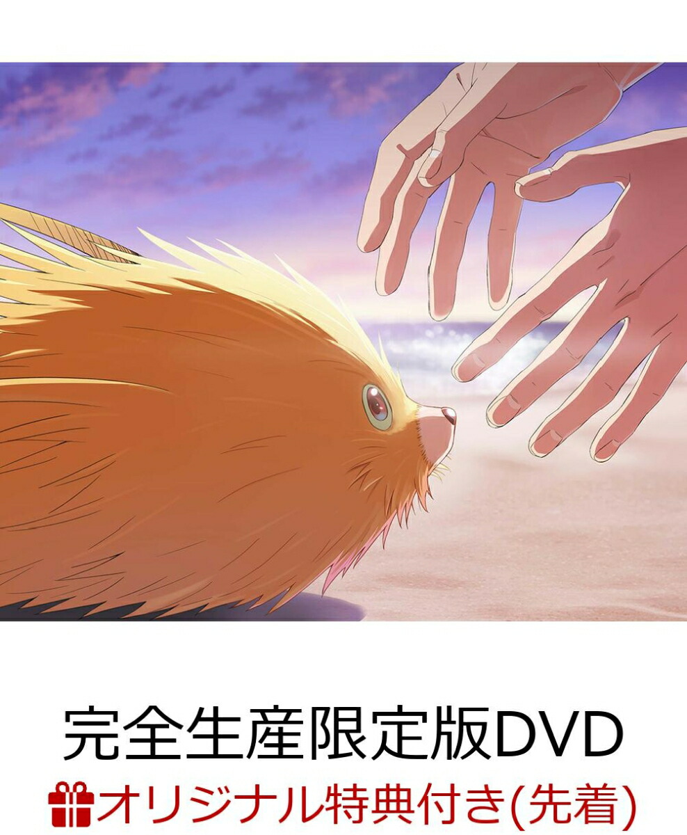 楽天ブックス: 君には届かない。 DVD-BOX - 前田拳太郎