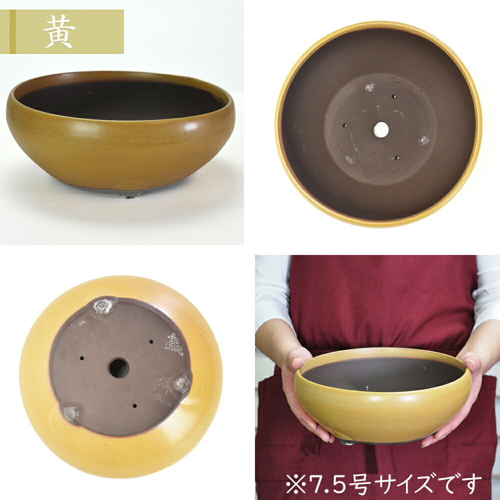 楽天市場】盆栽鉢 植木鉢 瀬戸焼 鉄鉢 3号 4号 5号 6号 7.5号 ウ泥