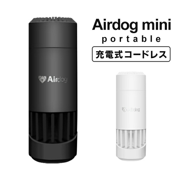 portablemini.jpg