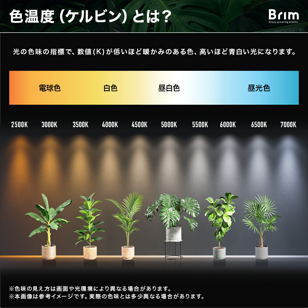 楽天市場】BRIM(ブリム) 公式店 グリーンアドバイザー推薦 BRIM(ブリム