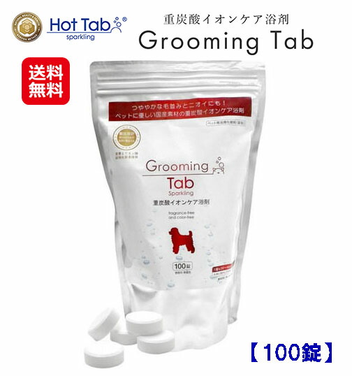 100錠 ホットタブ」の人気商品一覧 | 安い商品を通販サイトから探す