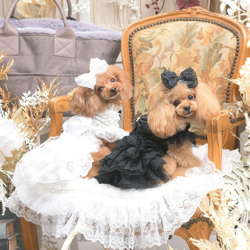 楽天市場】【Luxebirdie】シャルマンバレッタ（犬 服 小型犬 ヘア