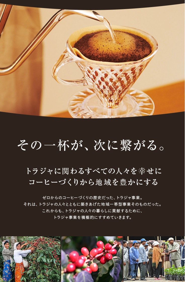 楽天市場】トアルコ トラジャ 豆 200g × 1個 スペシャルティコーヒー