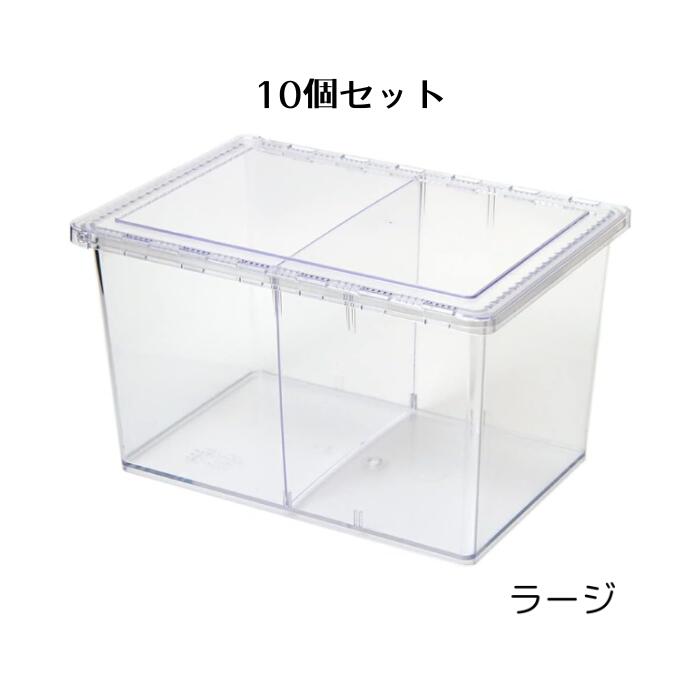クリアスライダー ラージ 20個セット（中古・仕切り付き） クリアー