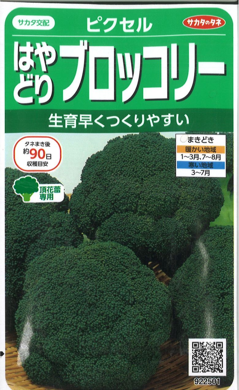 楽天市場】ブロッコリー ピクセル コート（花・ガーデン・DIY）の通販