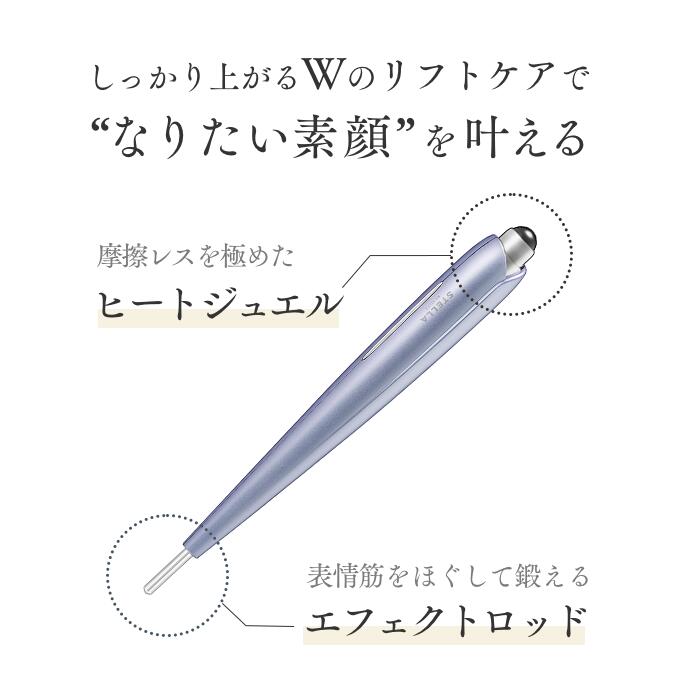 楽天市場】3/2はP10倍でお得☆Beauty Face Stick Rin 美容家 石井美保