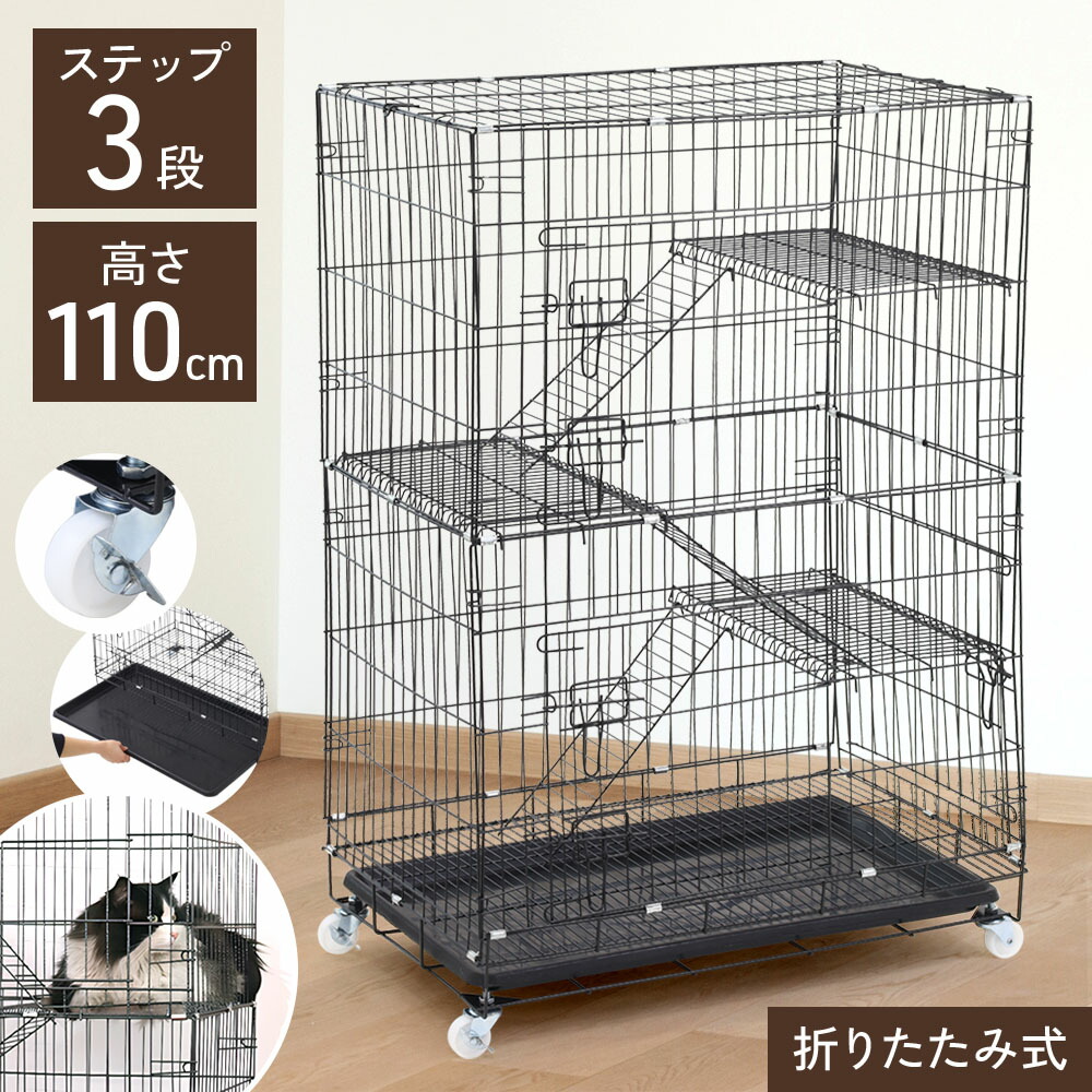 楽天市場】【半額&5%OFFクーポン配布3/1 利用条件あり】 キャット