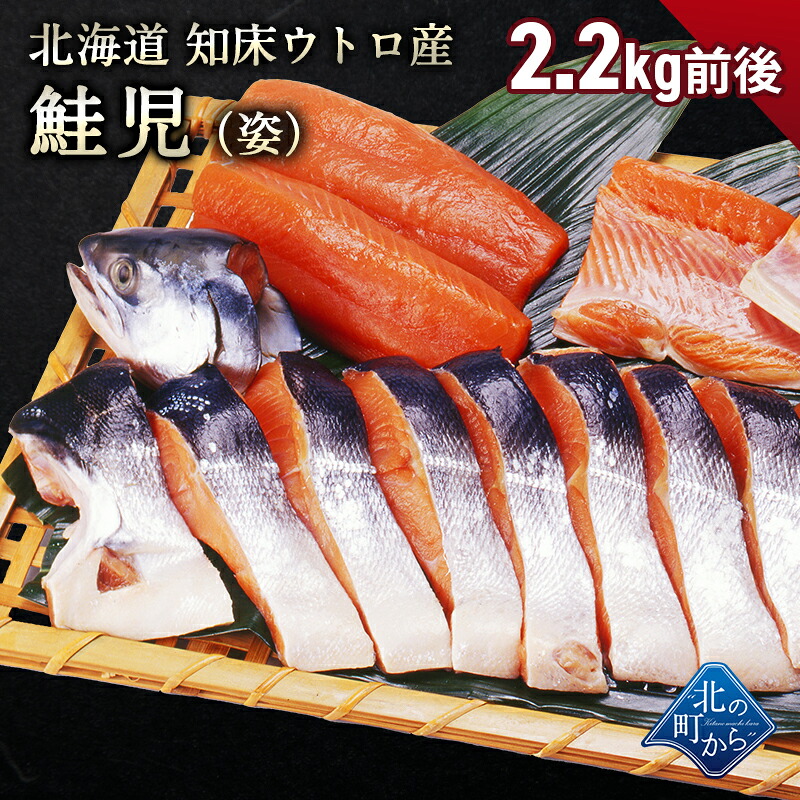 楽天市場】幻の鮭 鮭児 姿 2.2kg前後/2.7kg前後 北海道 知床ウトロ産