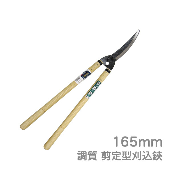 imgrc0079645281.jpg