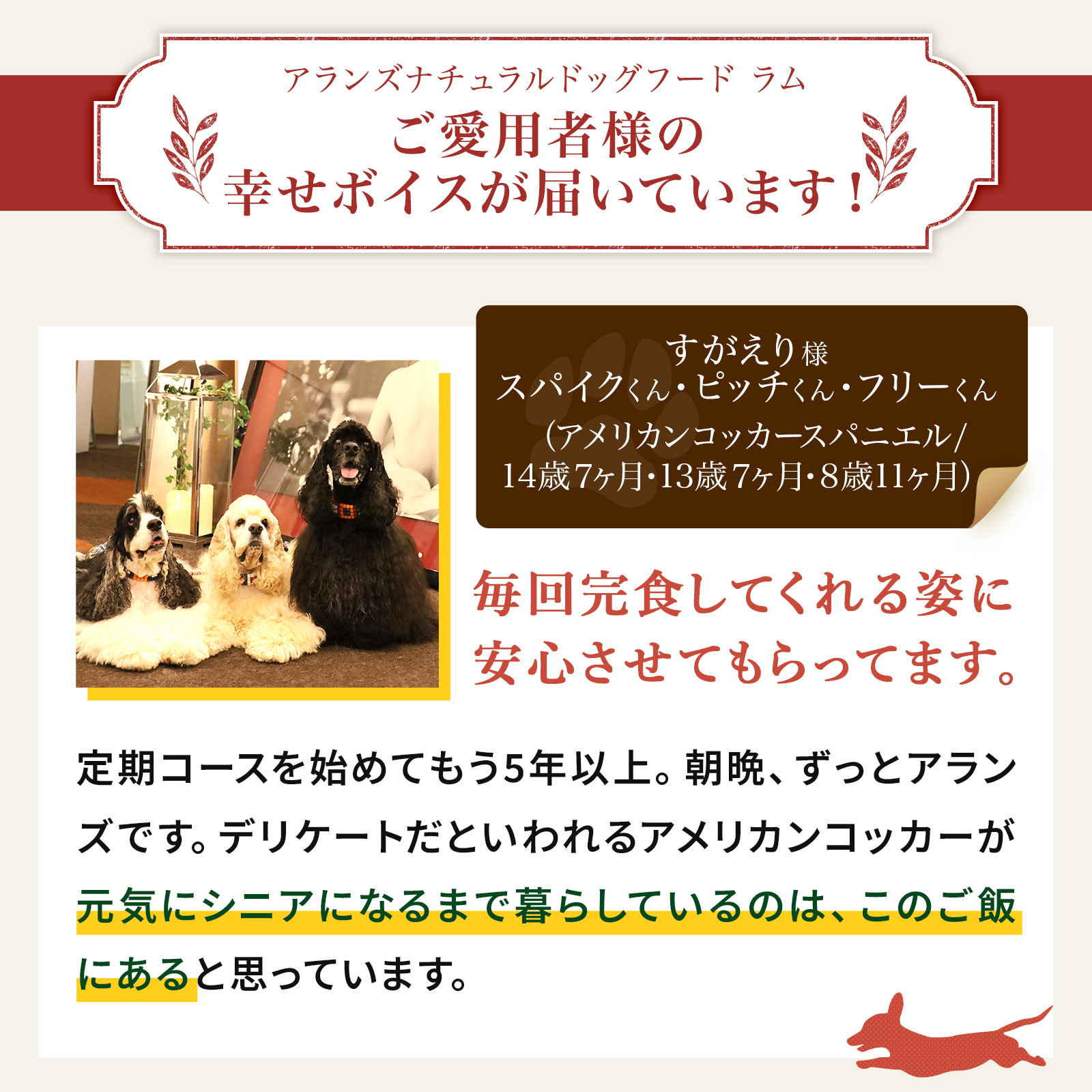 楽天市場】【公式】アランズ ナチュラルドッグフード ラム (2kg) 全犬
