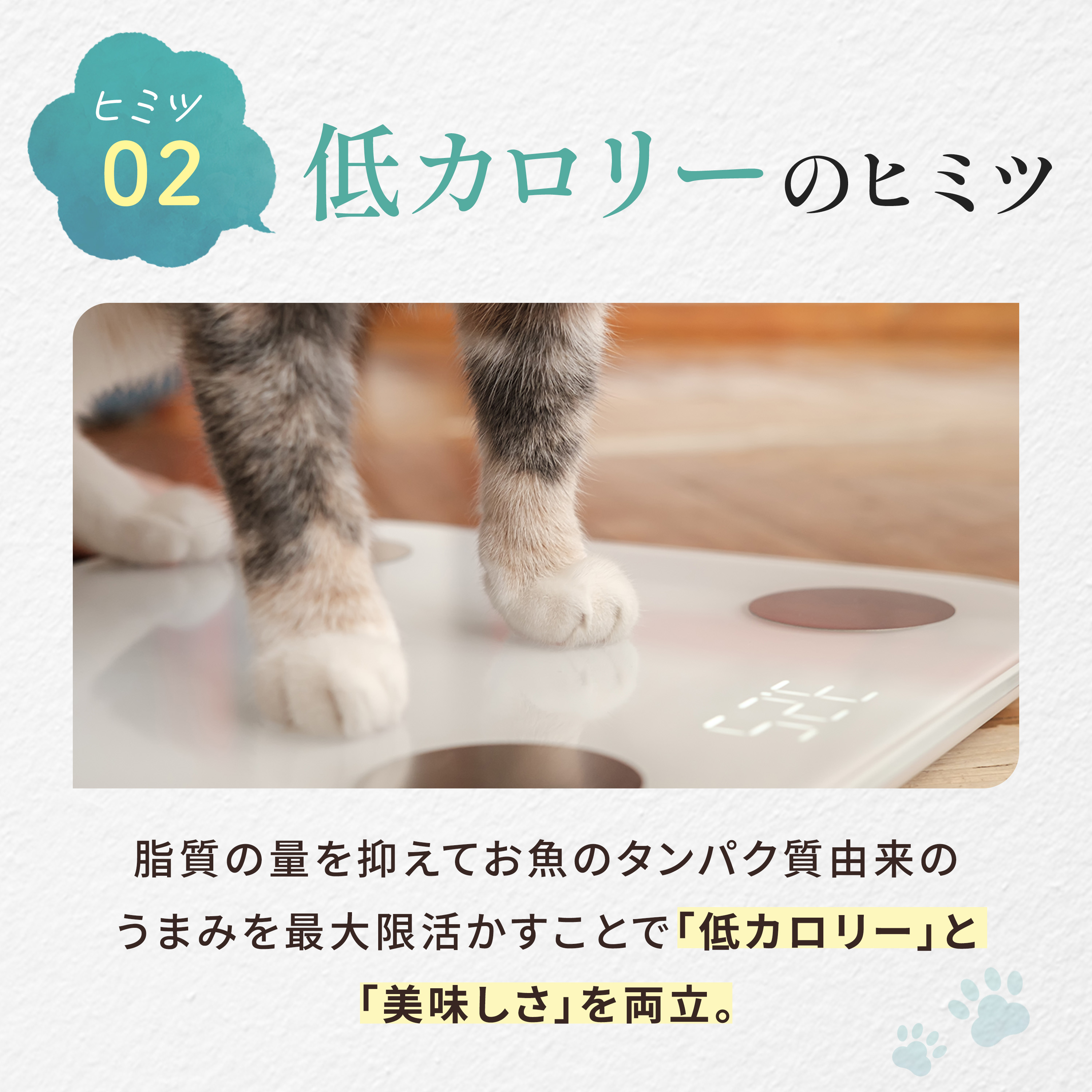 楽天市場】【公式・新商品】モグニャン キャットフード ライト (1.5kg