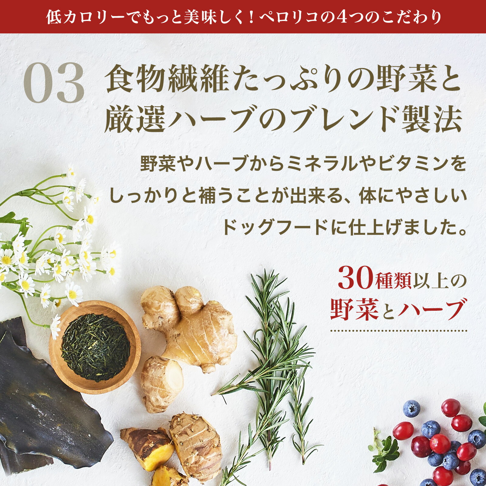 楽天市場】【公式】ペロリコドッグフード ライト （1.8kg） 全犬種・1