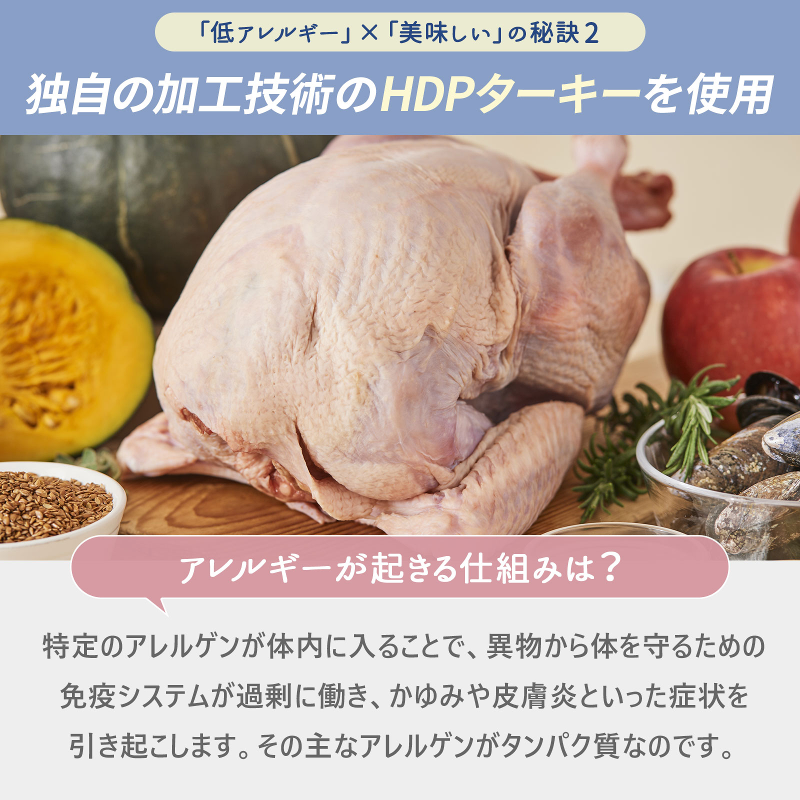 楽天市場】【公式】ペロリコドッグフード アレカット（2kg) 全犬種・全