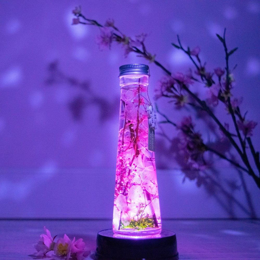 楽天市場】＼割引クーポン配布中／ハーバリウム 桜 サクラ さくら 雑貨