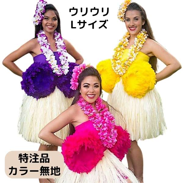 楽天市場】ウリウリ 特注品 Lサイズ フラ フラダンス フラ楽器 'Uli