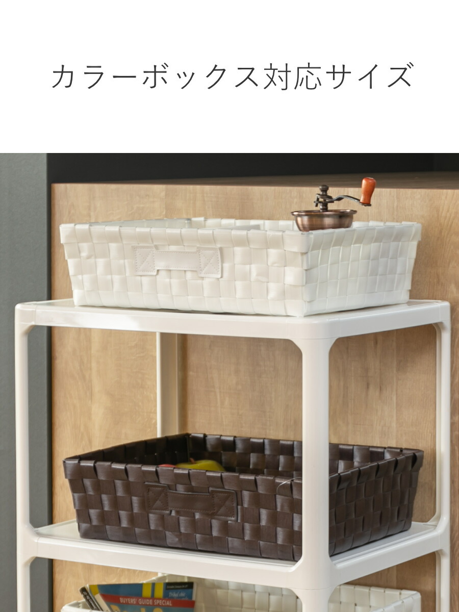 楽天市場】バスケット PEバスケット 幅36×奥行26×高さ10cm 収納かご SF