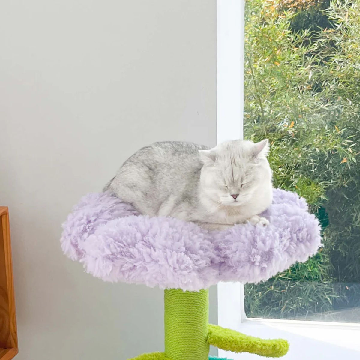 楽天市場】キャットタワー Pot Pet House PURPLE ZEZE 猫ハウス （ 猫