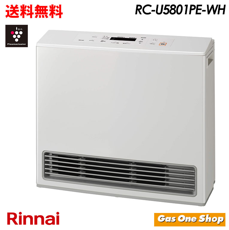 楽天市場】＼3月限定！最大100％ポイントバック！※要エントリー