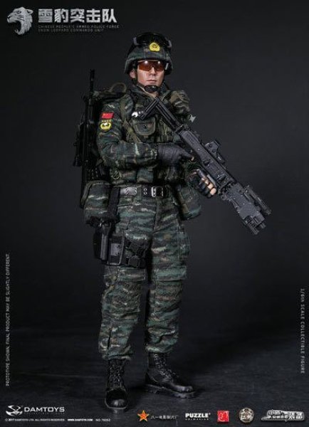 楽天市場】【DAMTOYS】78052 1/6 CHINESE PEOPLE'S ARMED POLIC中国