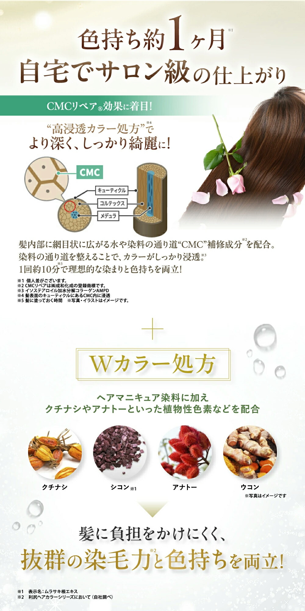 楽天市場】【3/3 20:00〜10%OFF】白髪用 利尻カラークリーム 170g×3本