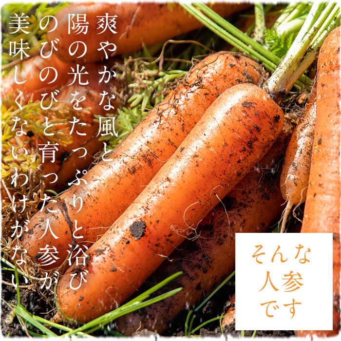 楽天市場】【ふるさと納税】【訳あり・期間限定・数量限定】鹿児島県産