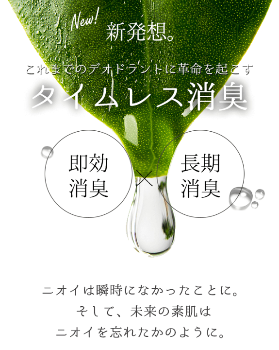楽天市場】【ポイント10倍！4日20:00~11日1:59】 【2本セット