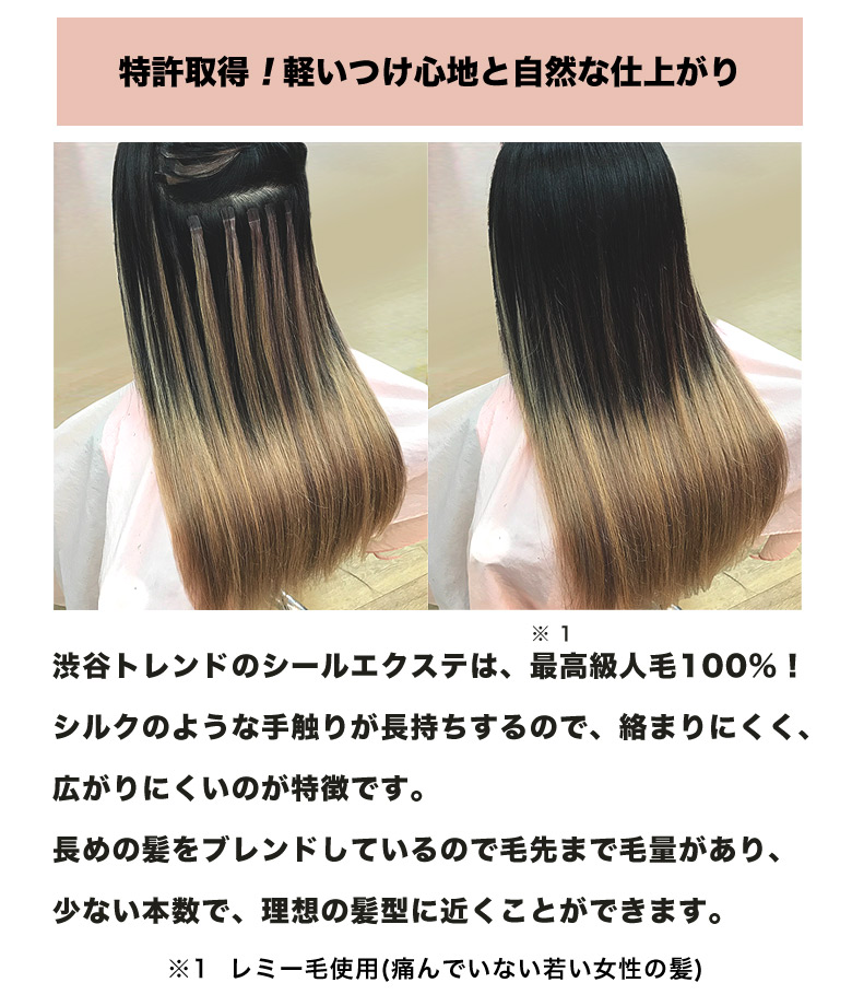 楽天市場】【超お得！30％引き】シールエクステ 30cm80本分(160P