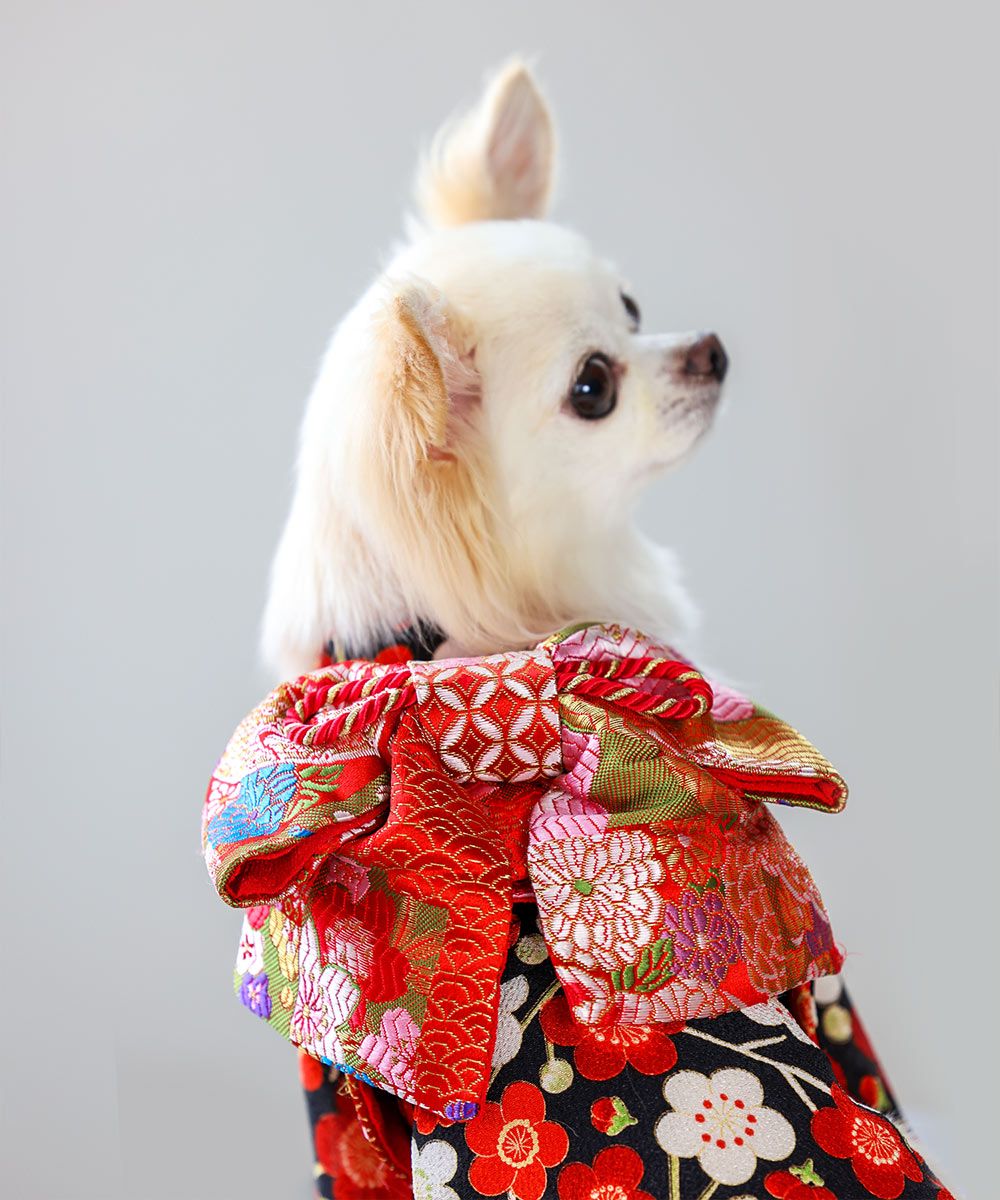 楽天市場】【犬 服 犬着物 お正月 初詣 年賀 犬服 着物 振袖 七五三