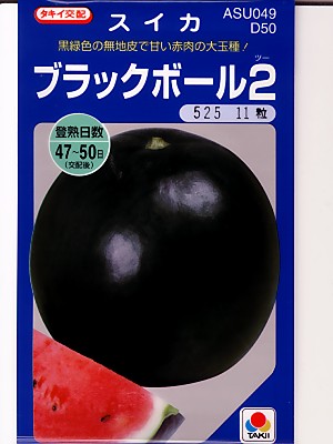 楽天市場】スイカ種 タキイ交配ブラックボール2 タキイ種苗のスイカ