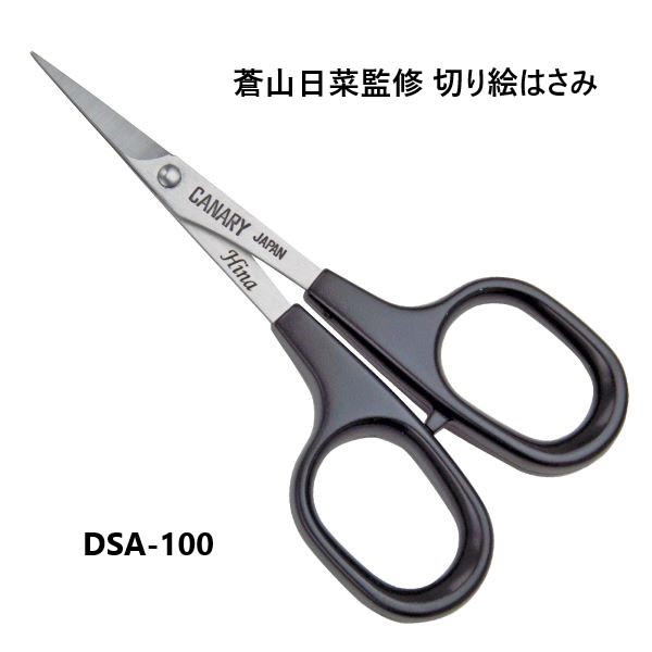 dsa100.jpg
