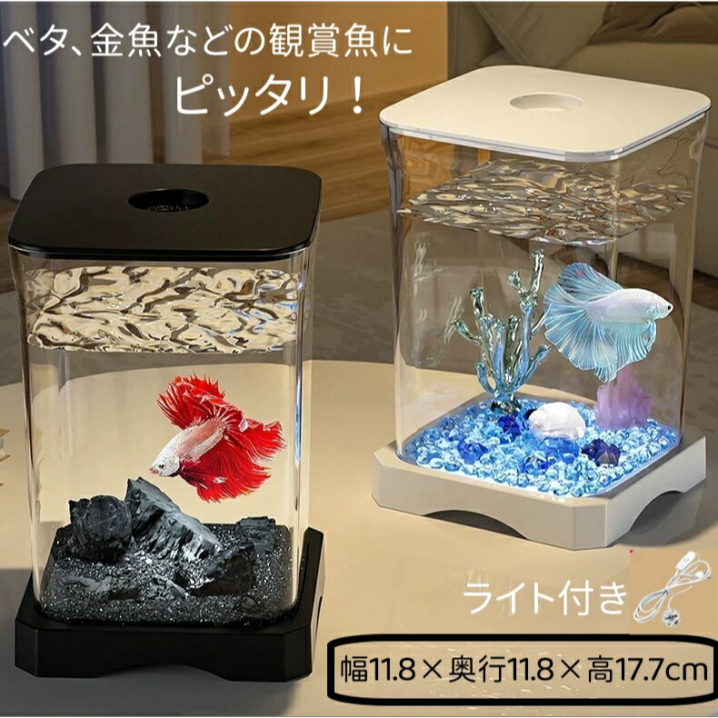 楽天市場】ベタ 水槽（水槽セット｜水槽・アクアリウム）：熱帯魚