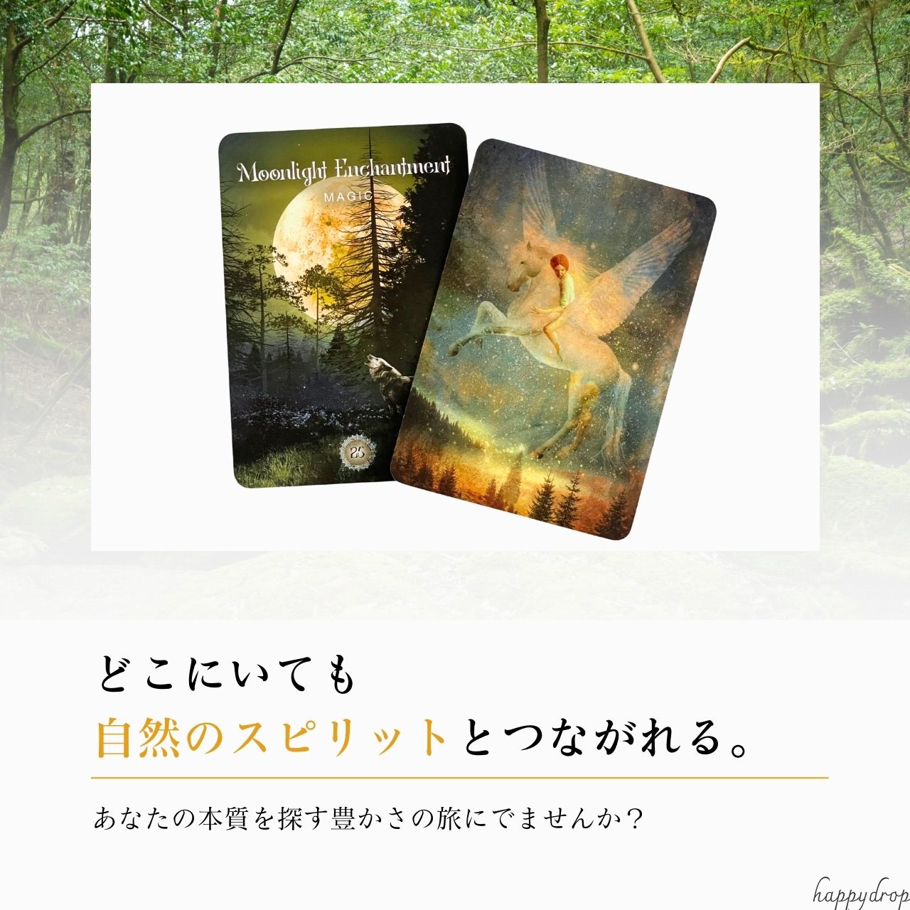 楽天市場】森 セイクレッドフォレストオラクルカード オラクルカード