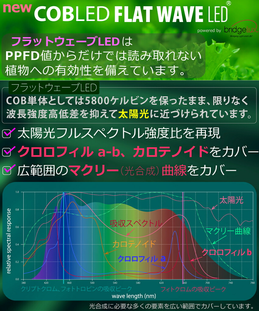 楽天市場】HaruDesign 植物育成ライト HASU38 spec9 6K ブラック