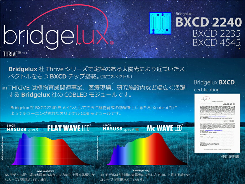 imgrc0092599735.jpg