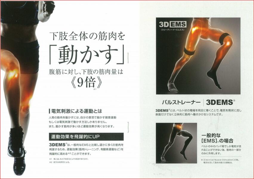 楽天市場】パルストレーナー 3DEMS 商品 2年保証（※当店の2年保証