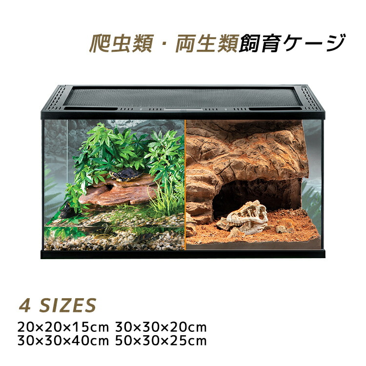 楽天市場】テラリウム 爬虫類 飼育 ケージ 両生類 カメ カニ グラス