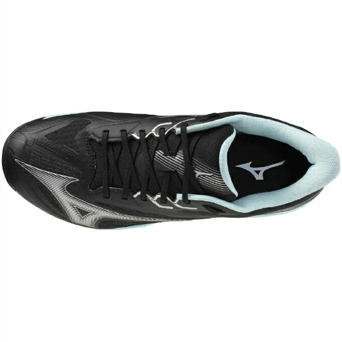 楽天市場】ミズノ MIZUNO テニスシューズ オムニ クレー メンズ