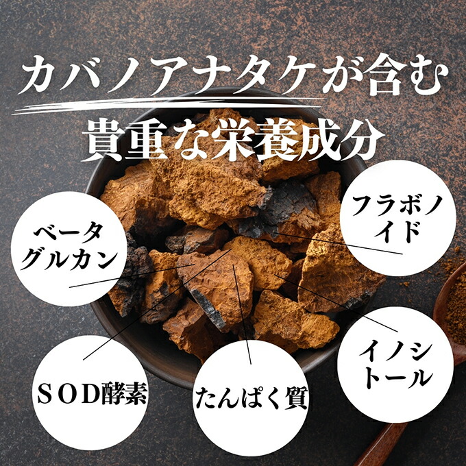 楽天市場】カバノアナタケ茶 32パック×5個 チャーガ茶 チャガ茶