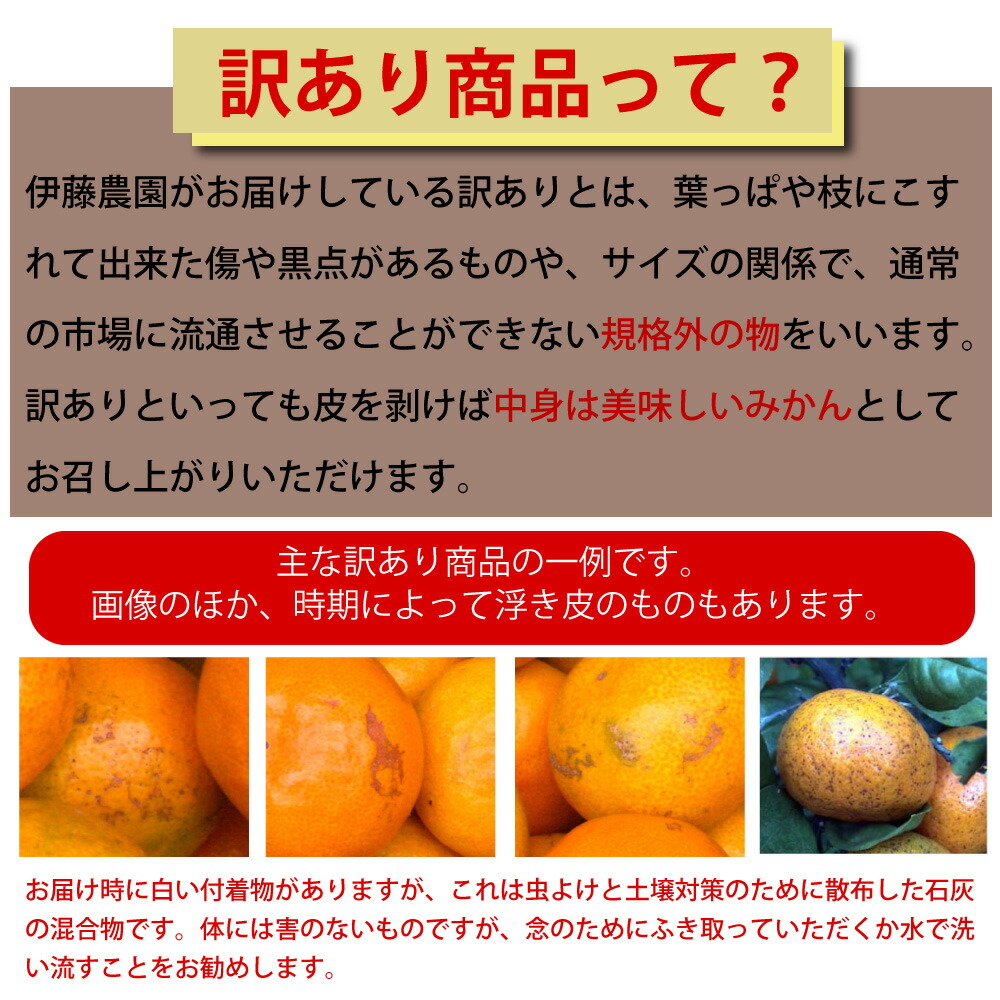 楽天市場】清見 きよみ 訳あり 10kg 送料無料 和歌山 キヨミ 清見