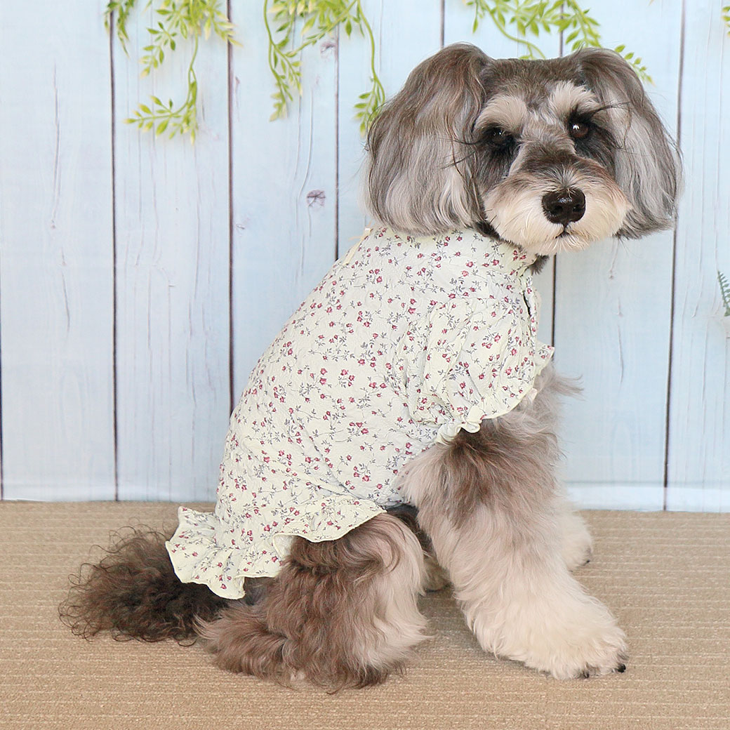 楽天市場】【 犬 服 秋冬 】iDog フリルブラウス iDog fleur アイ